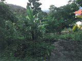 Residential lot For Sale in Wydah Mount Pleasant, Portland Jamaica | [2]