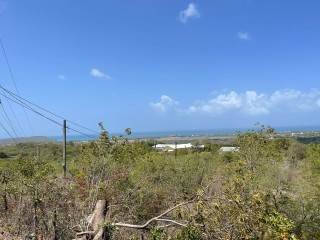 Residential lot For Sale in Treasure Beach, St. Elizabeth Jamaica | [2]
