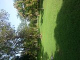 House For Rent in Whitehouse, Westmoreland Jamaica | [5]