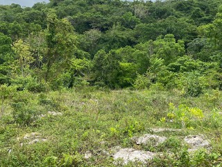 Residential lot For Sale in Runaway Bay, St. Ann Jamaica | [10]