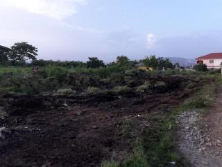 Commercial/farm land For Rent in Denbigh, Clarendon Jamaica | [2]