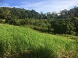 Residential lot For Sale in Mandeville, Manchester Jamaica | [2]