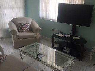 Apartment For Rent in NEW KINGSTON, Kingston / St. Andrew Jamaica | [5]