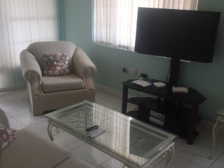 Apartment For Rent in NEW KINGSTON, Kingston / St. Andrew Jamaica | [5]