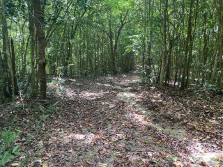 Land For Sale in Montego Bay, St. James Jamaica | [7]