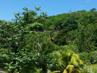 Residential lot For Sale in Hopewell Sheffield Road, Westmoreland Jamaica | [3]
