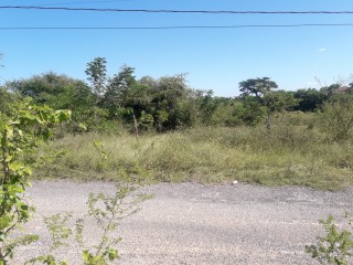 Residential lot For Sale in Luana, St. Elizabeth Jamaica | [1]