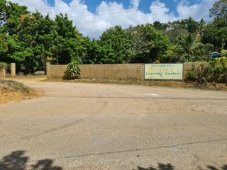 Commercial/farm land For Sale in Bog Walk, St. Catherine Jamaica | [6]