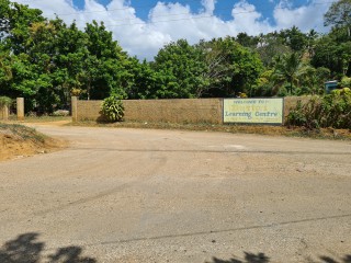 Commercial/farm land For Sale in Bog Walk, St. Catherine, Jamaica