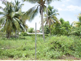 Land For Sale in Santa Cruz, St. Elizabeth, Jamaica