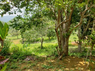 Commercial/farm land For Sale in Manchester, Manchester, Jamaica