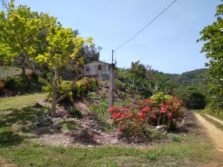 1 bed House For Sale in Retreat Browns Town, St. Ann, Jamaica