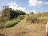 Commercial/farm land For Rent in Manchester, Manchester Jamaica | [5]
