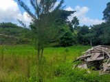 Residential lot For Sale in Negril, Westmoreland Jamaica | [4]