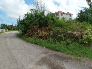 Residential lot For Sale – Boscobel st Mary, St. Mary, Jamaica