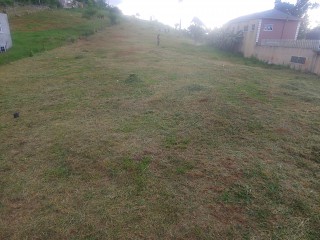 Residential lot For Sale in Knockpatric Mandeville, Manchester Jamaica | [3]
