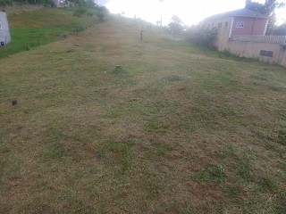 Residential lot For Sale in Knockpatric Mandeville, Manchester, Jamaica