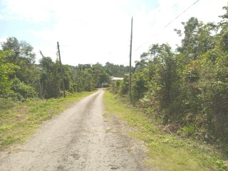 Commercial/farm land For Sale in Browns Town, St. Ann Jamaica | [8]