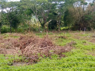 Residential lot For Sale in Hope Bay, Portland Jamaica | [6]