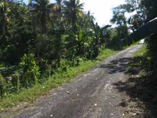 Land For Sale in Mile Gully Manchester, Manchester, Jamaica