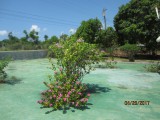 House For Sale in Stephen Run, St. Elizabeth Jamaica | [6]