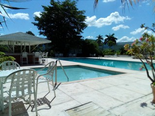 Apartment For Rent in SEAWIND ON THE BAY, St. James Jamaica | [6]