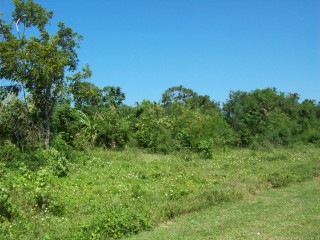 Commercial land For Sale in Salem, St. Ann Jamaica | [4]