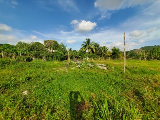 Residential lot For Sale in Jackson Town, Trelawny, Jamaica