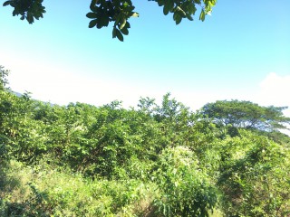 Commercial/farm land For Sale in Bath, St. Thomas Jamaica | [5]