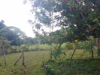Commercial/farm land For Sale in PERU, Trelawny Jamaica | [2]