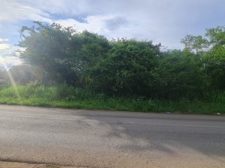 Land For Sale in Silver Sands, Trelawny, Jamaica