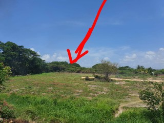 Residential lot For Sale in Wynters Pen, St. Catherine Jamaica | [8]
