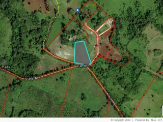 Residential lot For Sale in Carton Claremont, St. Ann Jamaica | [3]