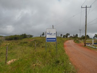 Land For Sale in Wigton, Manchester Jamaica | [10]