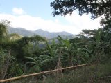Residential lot For Sale in Maryland, Kingston / St. Andrew Jamaica | [10]