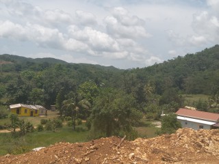 Residential lot For Sale – Grierfield Moneague, St. Ann, Jamaica 
Withdrawn