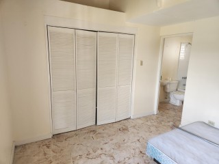Apartment For Rent in East Kings House Rd, Kingston / St. Andrew Jamaica | [9]