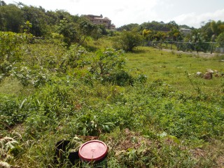 Residential lot For Sale in Godfrey Lands, Manchester Jamaica | [7]