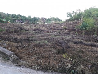 Residential lot For Sale in Friendship Hurlock Over River, St. James Jamaica | [2]