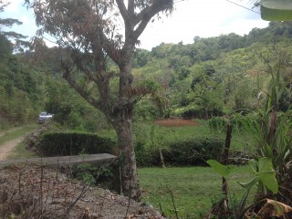 Residential lot For Sale in Mile Gully, Manchester Jamaica | [1]