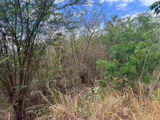 Land For Sale in Red Hills, St. Catherine Jamaica | [3]