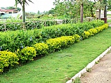Residential lot For Sale in Mandeville, Manchester Jamaica | [9]