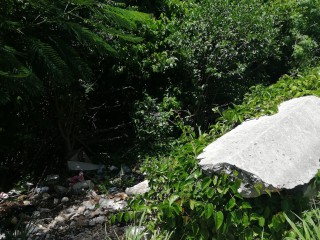 Commercial land For Sale in Spur Tree, Manchester Jamaica | [8]
