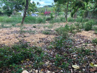 Residential lot For Sale in West end Negril, Westmoreland Jamaica | [5]