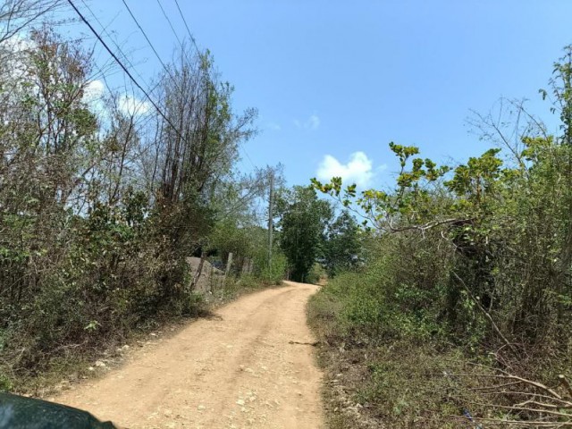 House For Sale in Oak Meadows Palmers Cross, Clarendon Jamaica | [3]