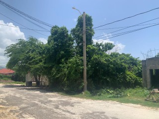 Residential lot For Sale in LUANA PEN BLACK RIVER, St. Elizabeth, Jamaica