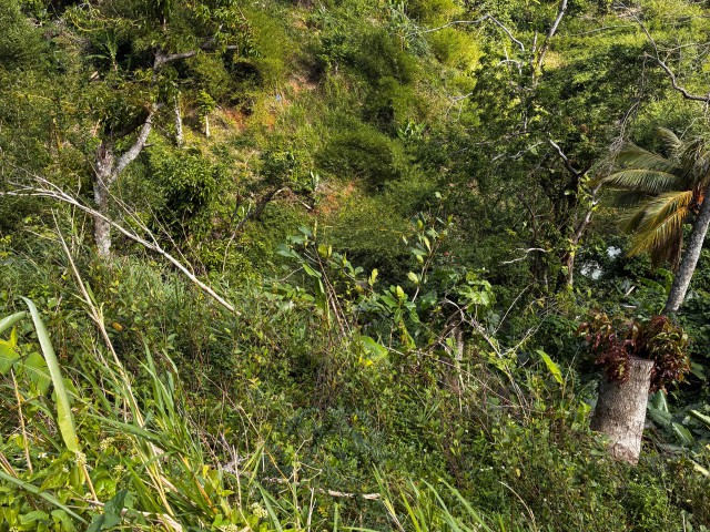 Residential lot For Sale in CascadeJericho, Hanover Jamaica | [3]