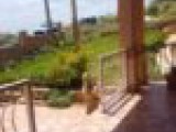 House For Sale in Junction St Elizabeth, St. Elizabeth Jamaica | [2]