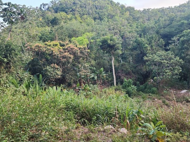 Residential lot For Sale - Swain Spring, Kingston / St. Andrew, Jamaica