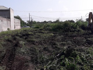 Commercial/farm land For Rent in Denbigh, Clarendon Jamaica | [1]